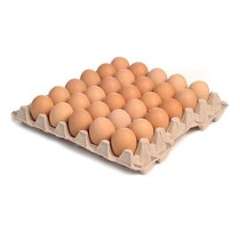 (30 بيضة (صينية 